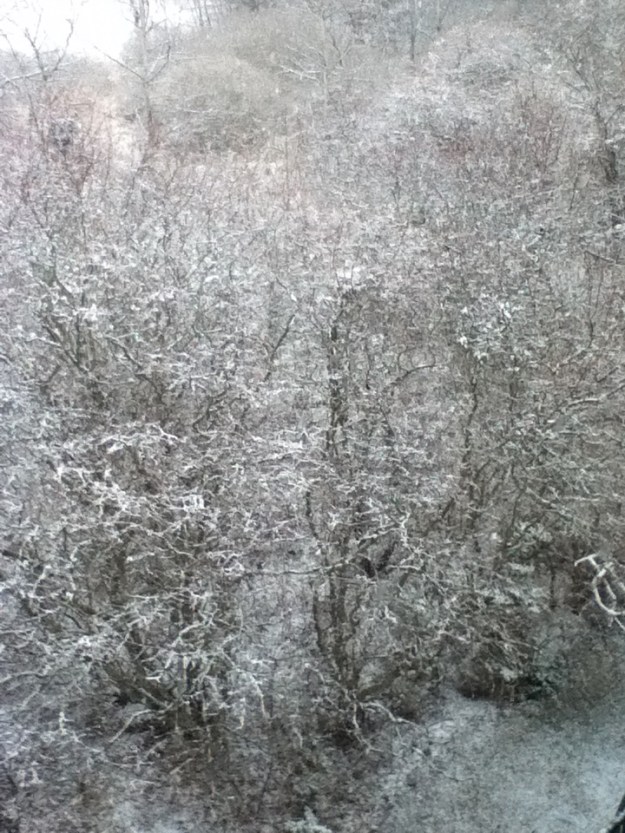 Indira Ganesan, More of Last Year's Snow, 2012