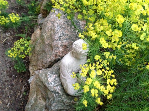 Indira Ganesan, Acceptance, 2013