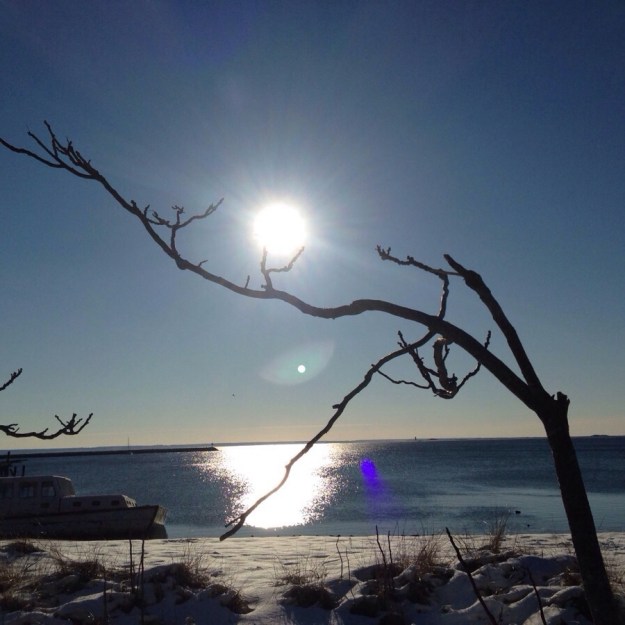 Indira Ganesan, Noon Like Moon, 2014