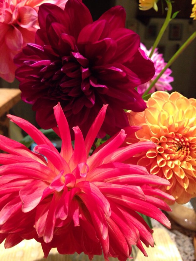 Indira ganesan, Dahlias from the Market, 2013