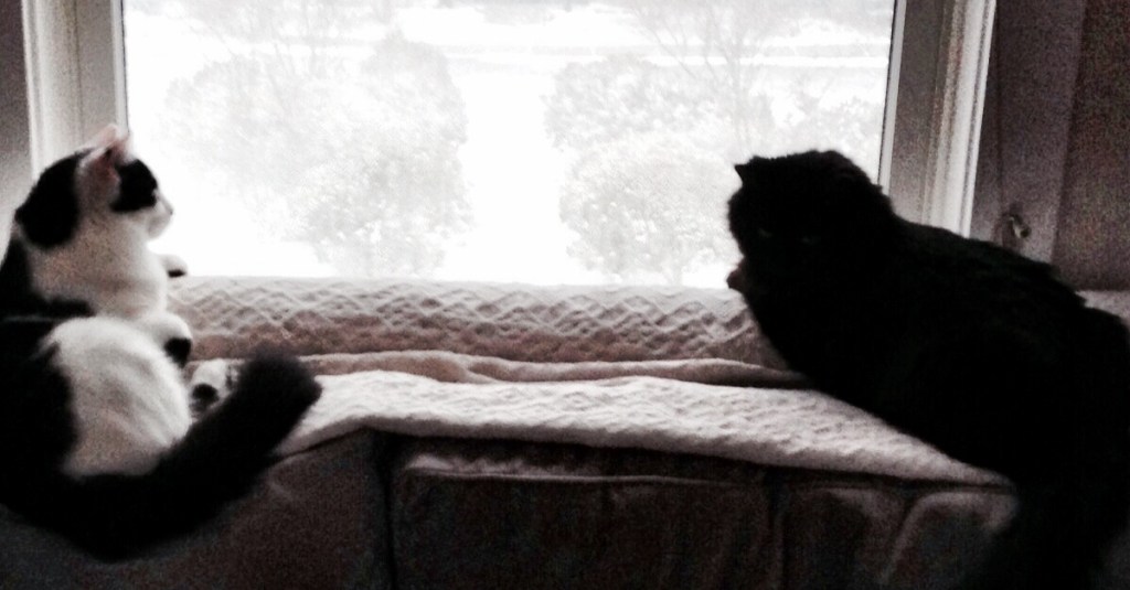 Indira Ganesan, weather watchers