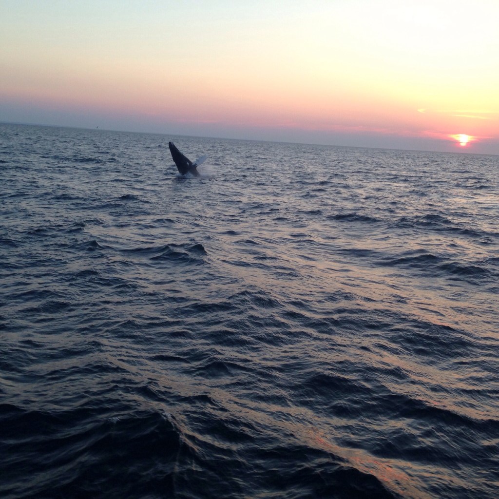 Indira Ganesan, Up!, 2014