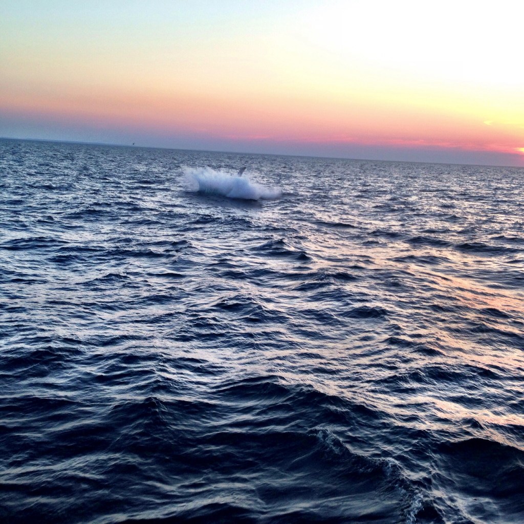 Indira Ganesan, splash, 2014