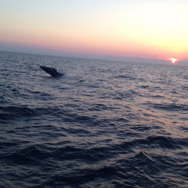 Indira Ganesan, adieu, 2014