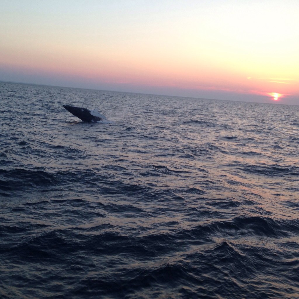 Indira Ganesan, adieu, 2014