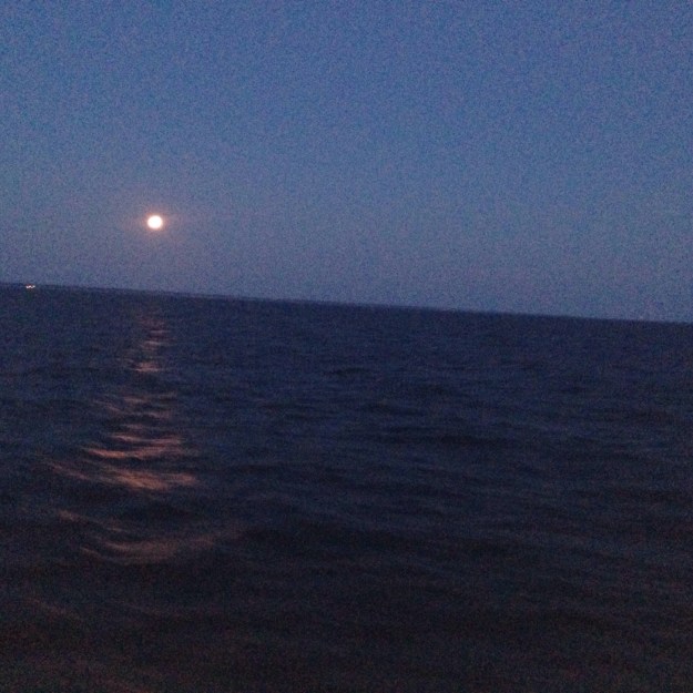 Indira Ganesan, That Moon, 2014