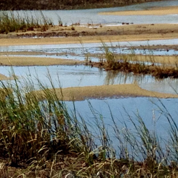 Indira Ganesan, Sand Bar, 2014