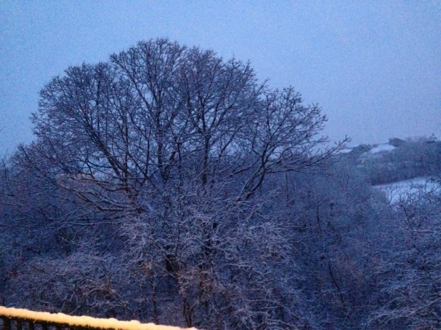 Another blizzard, 2015