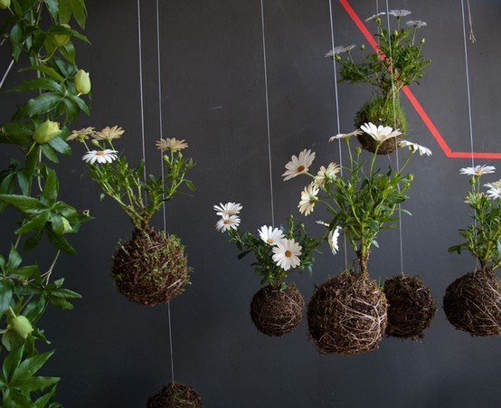 Garden by Fuchs indulgy.com