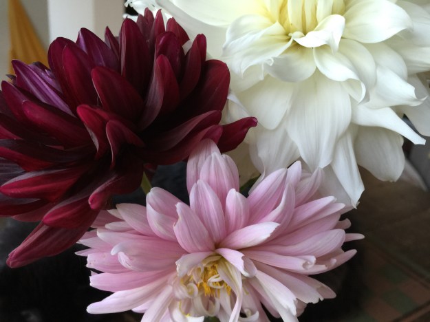 Indira Ganesan, Trio, 2015