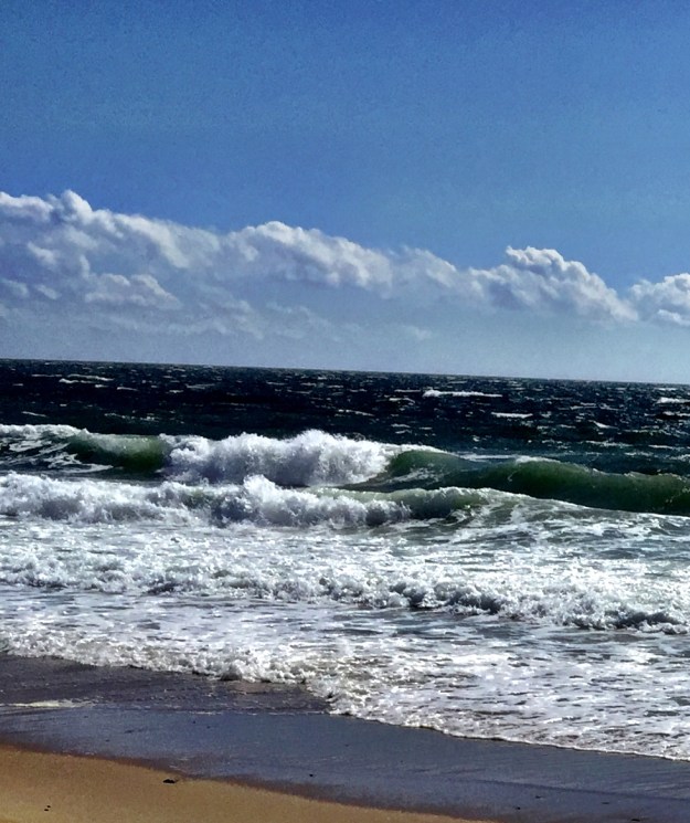 Indira Ganesan, April Sea (closeup), 2016