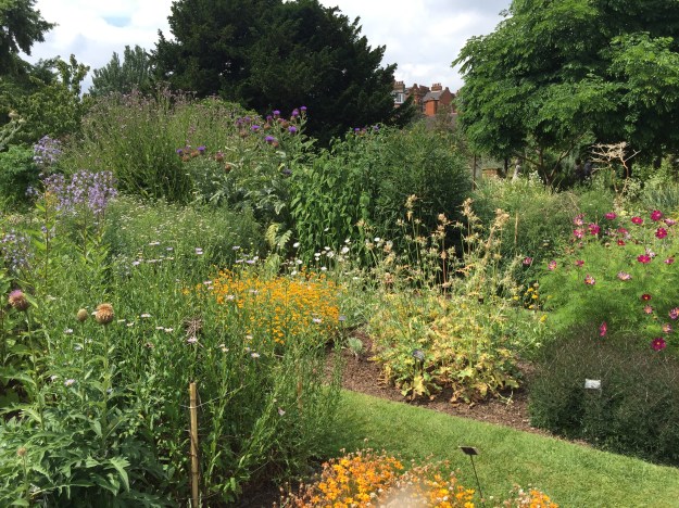 Chelsea Physic Garden