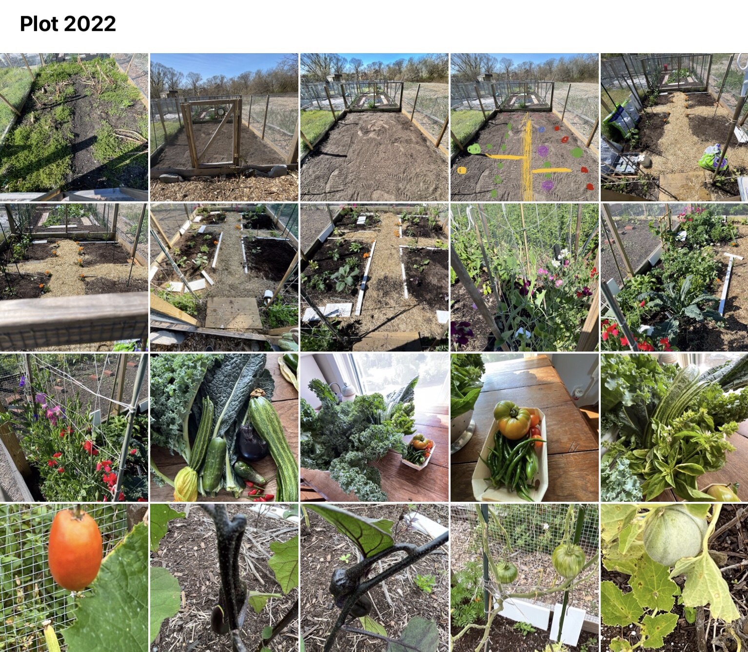 Garden Plot 2022 | Indira Ganesan